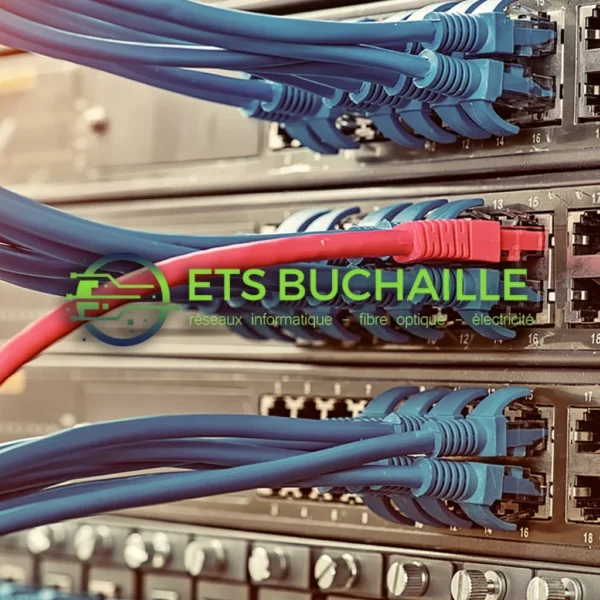 ETS BUCHAILLE — réalisation Bornes de recharge et mobilité électrique à Saint-Denis-lès-Bourg — photo 3 — Eurêkartisan