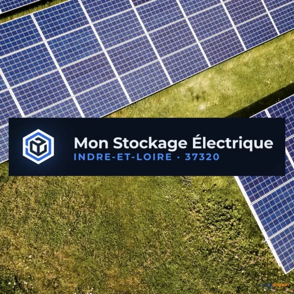 Logo de Mon Stockage Électrique, Électricité et domotique à Truyes — Eurêkartisan